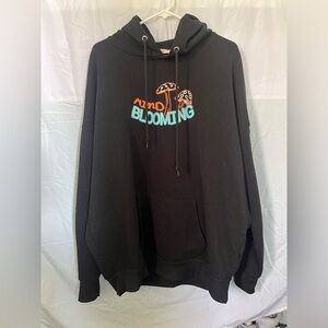 Cult Favorite XL hoodie